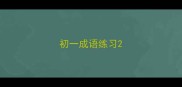 初一成语练习