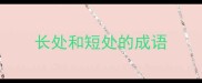 长处和短处的成语