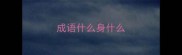成语什么身什么