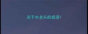 关于水龙头的成语