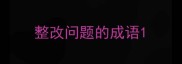 整改问题的成语