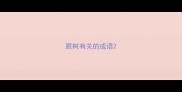 跟树有关的成语