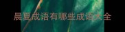 晨夏成语有哪些成语大全