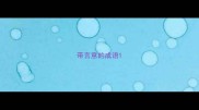 带言意的成语