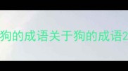 狗的成语关于狗的成语