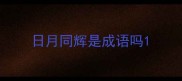 日月同辉是成语吗