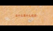 安什么是什么成语