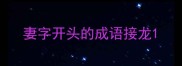 妻字开头的成语接龙