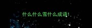 什么什么雪什么成语