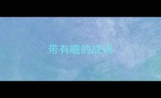 带有瞻的成语
