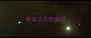 有关兰花的成语