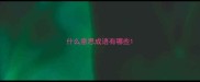 什么意思成语有哪些