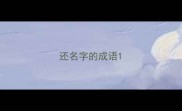 还名字的成语