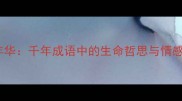 似水年华千年成语中的生命哲思与情感密码