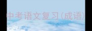 中考语文复习成语
