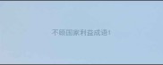 不顾国家利益成语