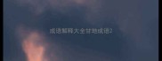 成语解释大全甘地成语