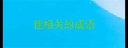 佳相关的成语