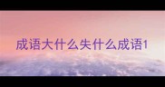 成语大什么失什么成语