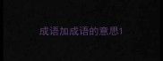 成语加成语的意思