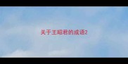 关于王昭君的成语