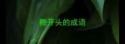 鞭开头的成语