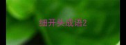 细开头成语