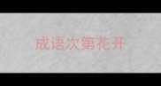 成语次第花开