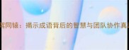 四驾同辕揭示成语背后的智慧与团队协作真谛