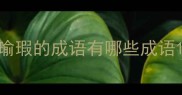 瑜瑕的成语有哪些成语