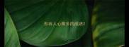 形容人心眼多的成语