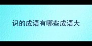 识的成语有哪些成语大