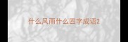 什么风雨什么四字成语