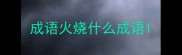 成语火烧什么成语