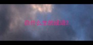 自什么生的成语
