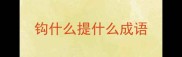 钩什么提什么成语