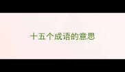 十五个成语的意思