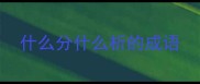 什么分什么析的成语