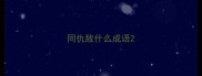 同仇敌什么成语