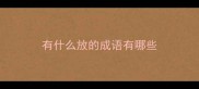 有什么放的成语有哪些