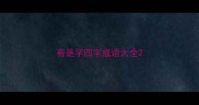 有是字四字成语大全