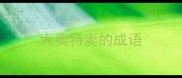 大卖特卖的成语