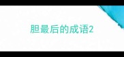 胆最后的成语