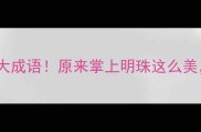 趣味盘点有珠的10大成语原来掌上明珠这么美最后一个太意外