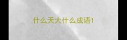 什么天大什么成语