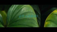 以什么讹成语