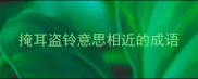 掩耳盗铃意思相近的成语