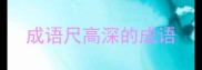 成语尺高深的成语