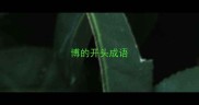 博的开头成语