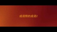 成语照的成语